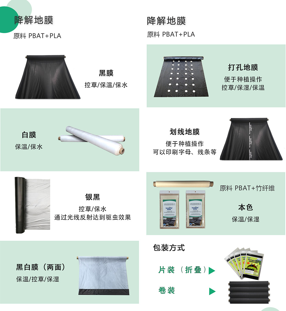 中文_副本.jpg